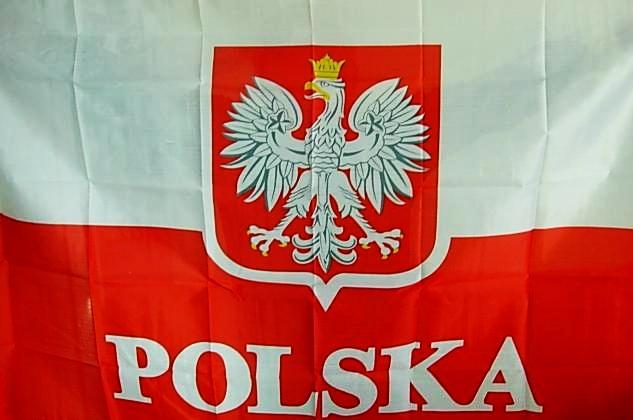flagapolskaduzaflagaduza145x90.jpg