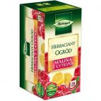Frambozenthee met citroen  / Herbapol Herbaciany Ogrod Malina z cytryna